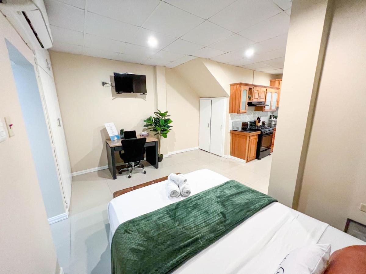Stacys Place #4 Studio Apartment Port of Spain Екстер'єр фото